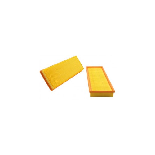 FRA 136/738 MAYERS FILTER